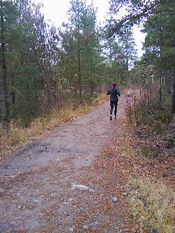 Madde far fram p&aring; en av grusv&auml;garna