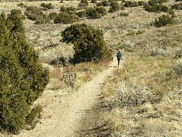 En av alla triljoner trails i Albuquerque, NM