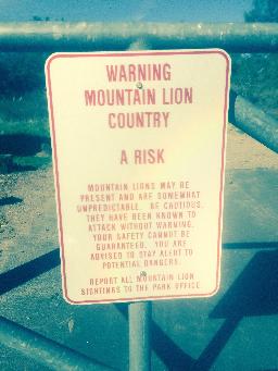 Stor varning för Mountain lions, vi fick t.o.m instruktionsblad om hur vi skulle göra om vi stötte på en, men inte ens ett fotspår fick vi se. :-(