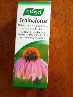 Echinacea är suveränt vid förkylningssymtom