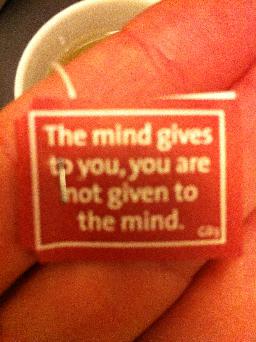 "The mind gives to you, you are not given to the mind". Läst på en Yogitepåse