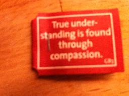 Dagens Yogitepåse; "True understanding is found through compassion"
