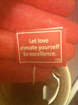 "Let love elevate yourself to excellence"