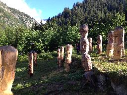 Skulpturer gjorda direkt i trädstammarna