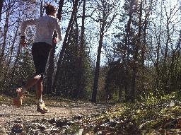 Förmiddagens fantastisk löptur i skogen